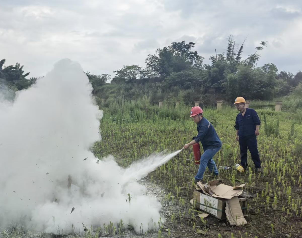 31c920077d9f7aed3f98d275d12a9d9